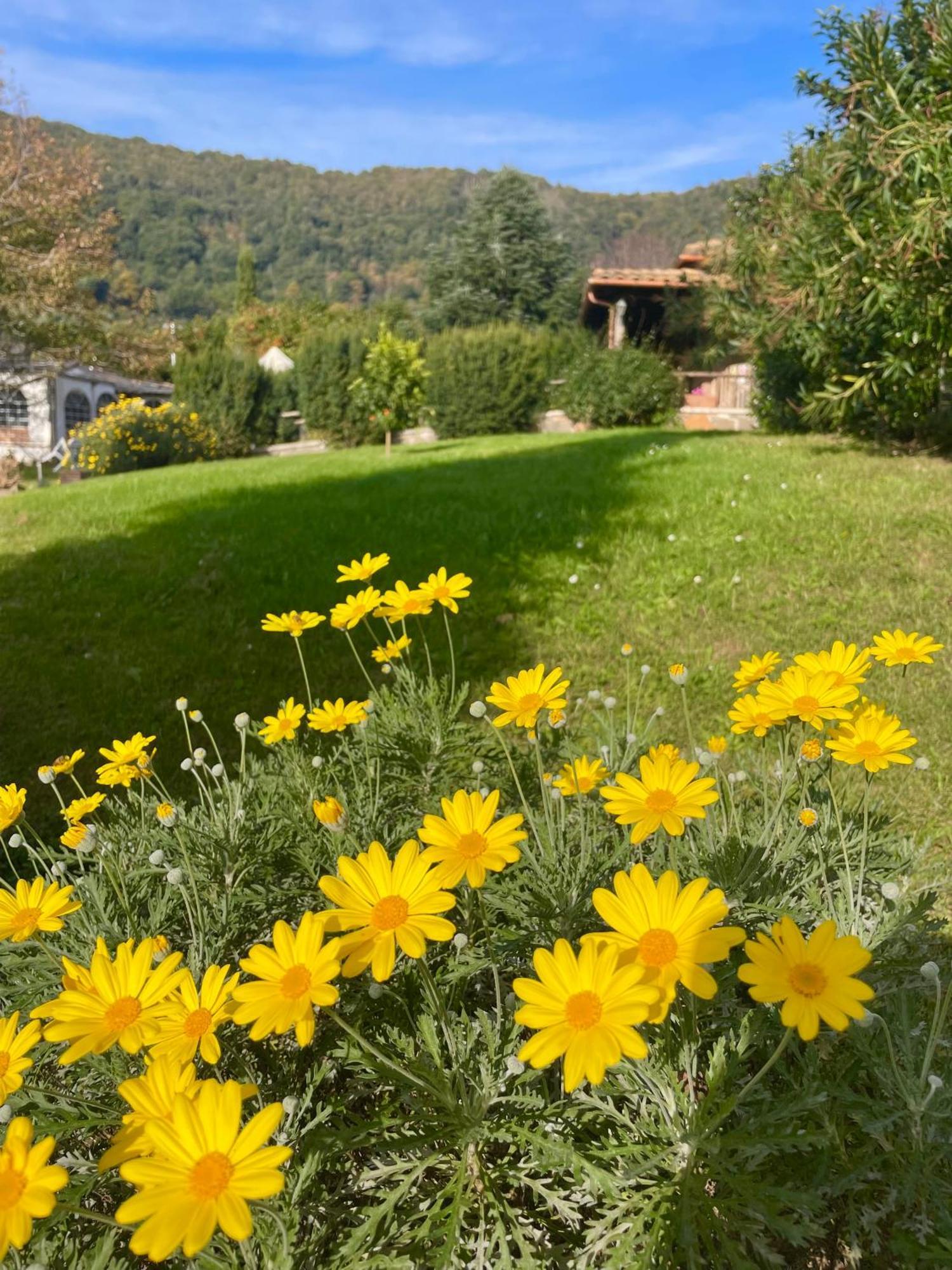 Agriturismo Le Grotte Nemi Exterior photo